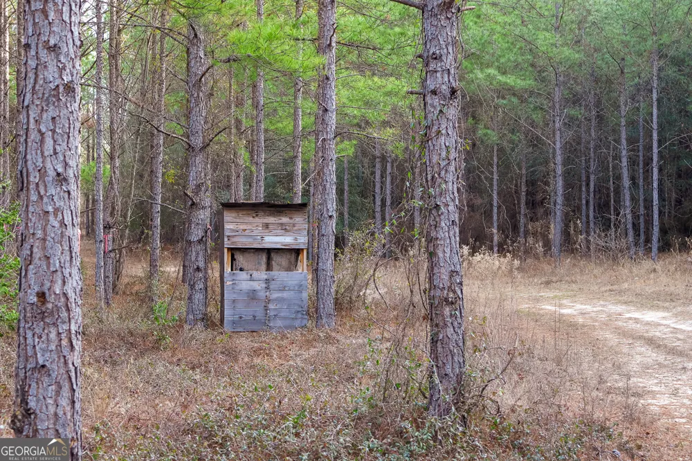 2729 Hadden Pond RD Avera, GA 30803