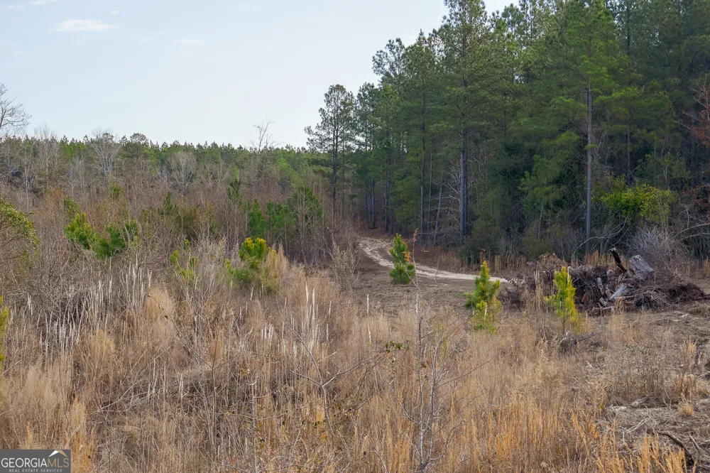 2729 Hadden Pond RD Avera, GA 30803