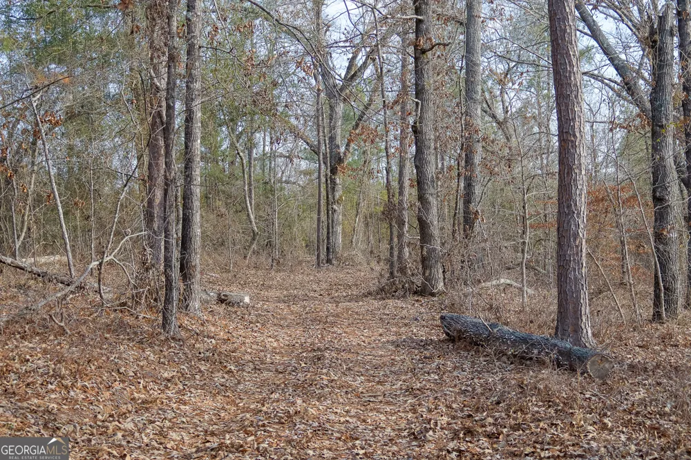 2729 Hadden Pond RD Avera, GA 30803