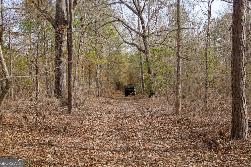 2729 Hadden Pond RD Avera, GA 30803