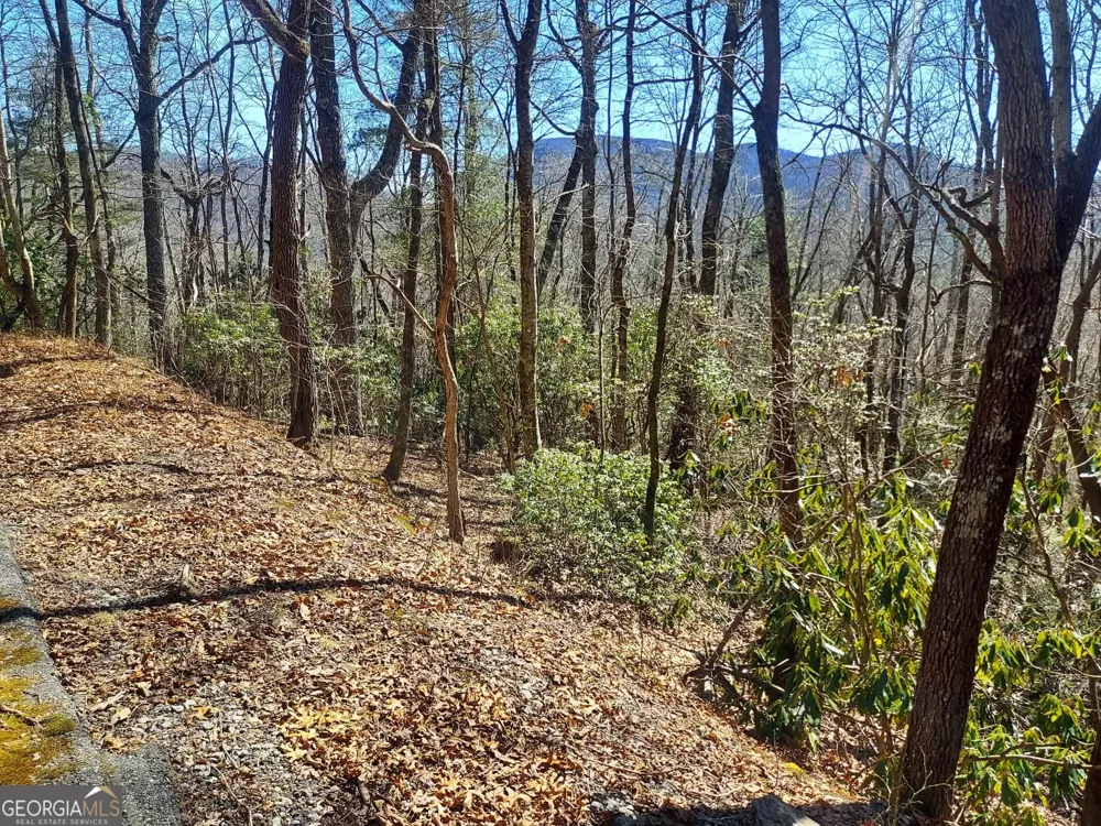 0 LOT 41 Pipetrack Gap RD Scaly Mtn, NC 28775