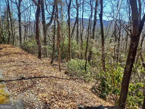 0 LOT 41 Pipetrack Gap RD