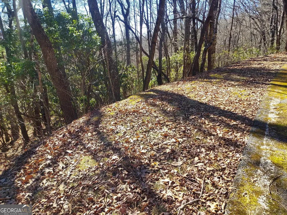 0 LOT 41 Pipetrack Gap RD Scaly Mtn, NC 28775