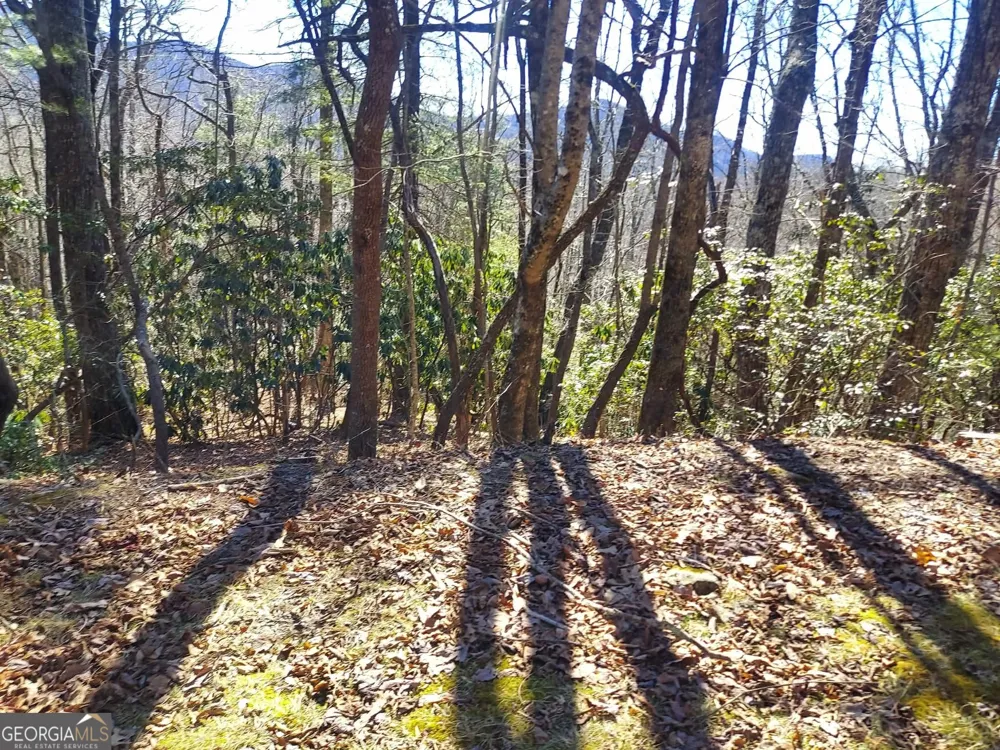 0 LOT 41 Pipetrack Gap RD Scaly Mtn, NC 28775