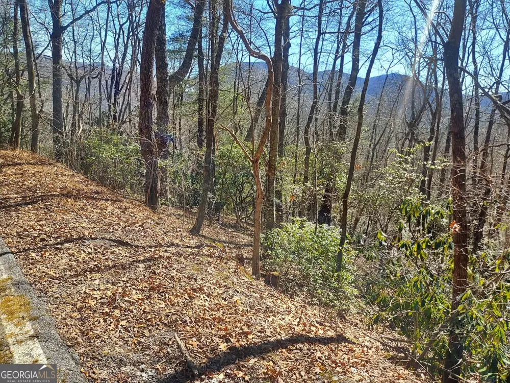 0 LOT 41 Pipetrack Gap RD Scaly Mtn, NC 28775