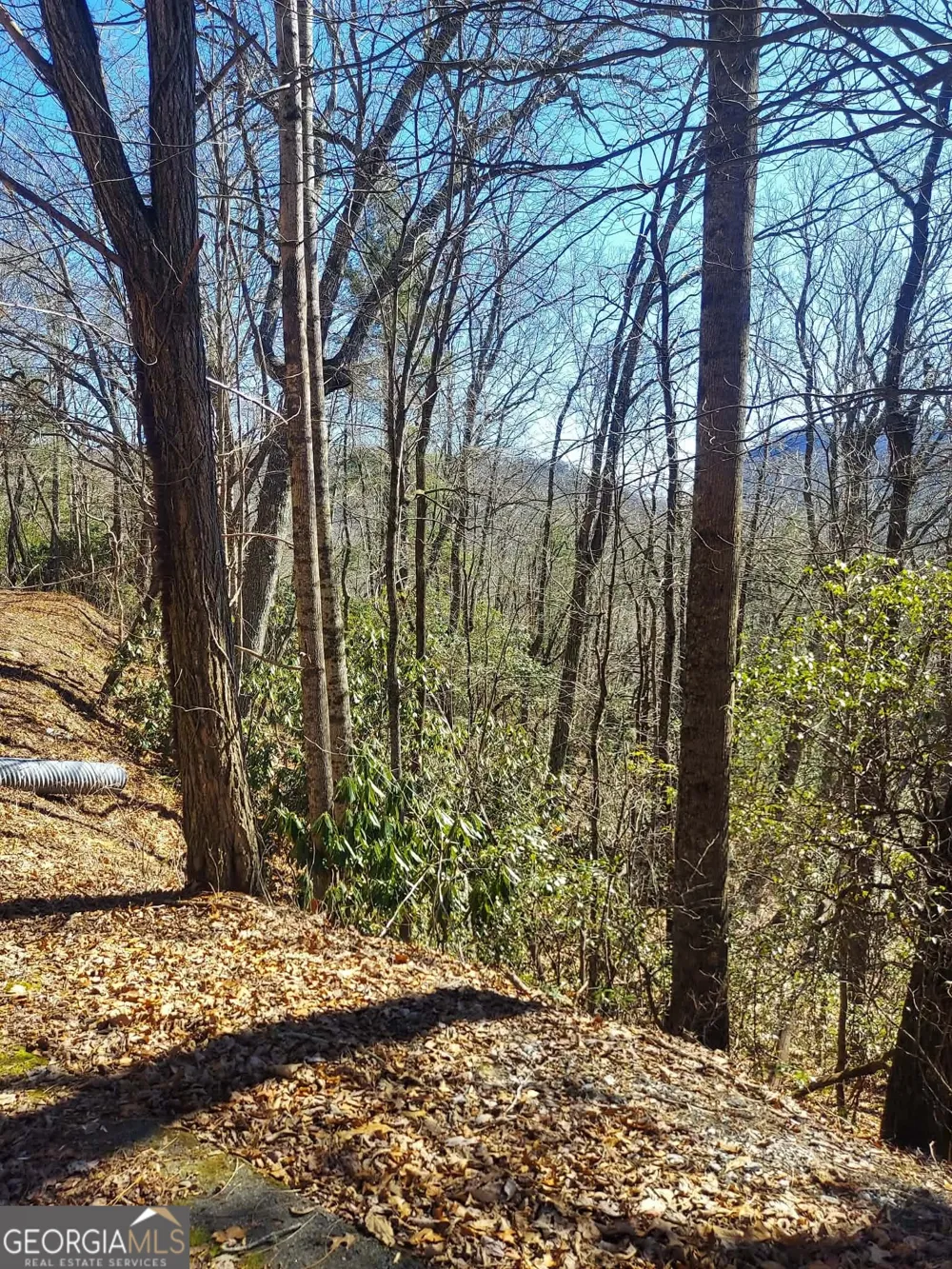 0 LOT 41 Pipetrack Gap RD Scaly Mtn, NC 28775