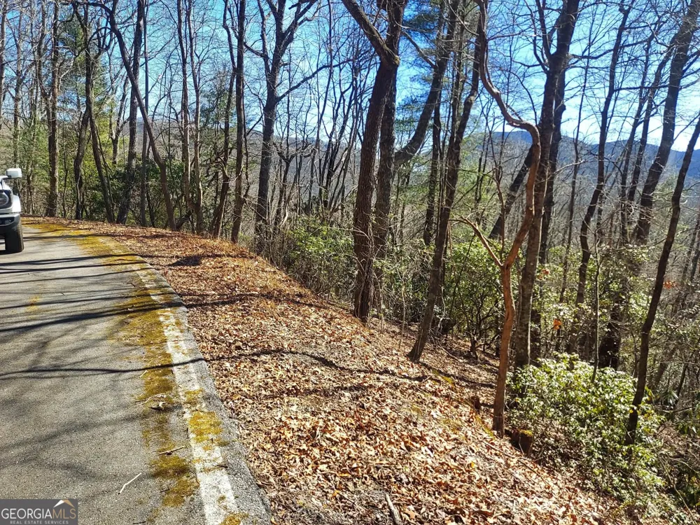 0 LOT 41 Pipetrack Gap RD Scaly Mtn, NC 28775