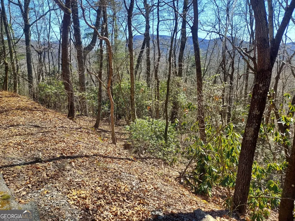 0 LOT 41 Pipetrack Gap RD Scaly Mtn, NC 28775