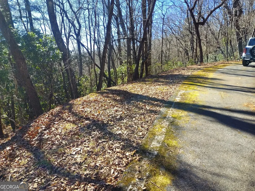 0 LOT 41 Pipetrack Gap RD Scaly Mtn, NC 28775
