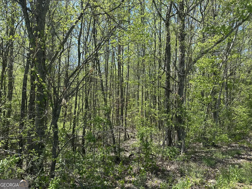 0 N. 411 HWY Eton, GA 30705