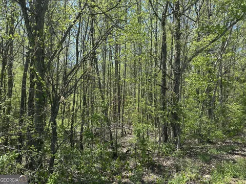 0 N. 411 HWY