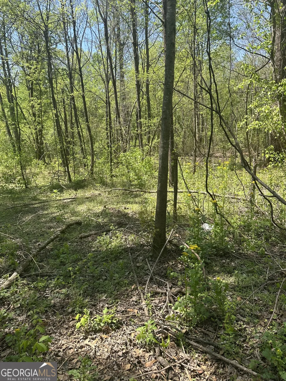 0 N. 411 HWY Eton, GA 30705