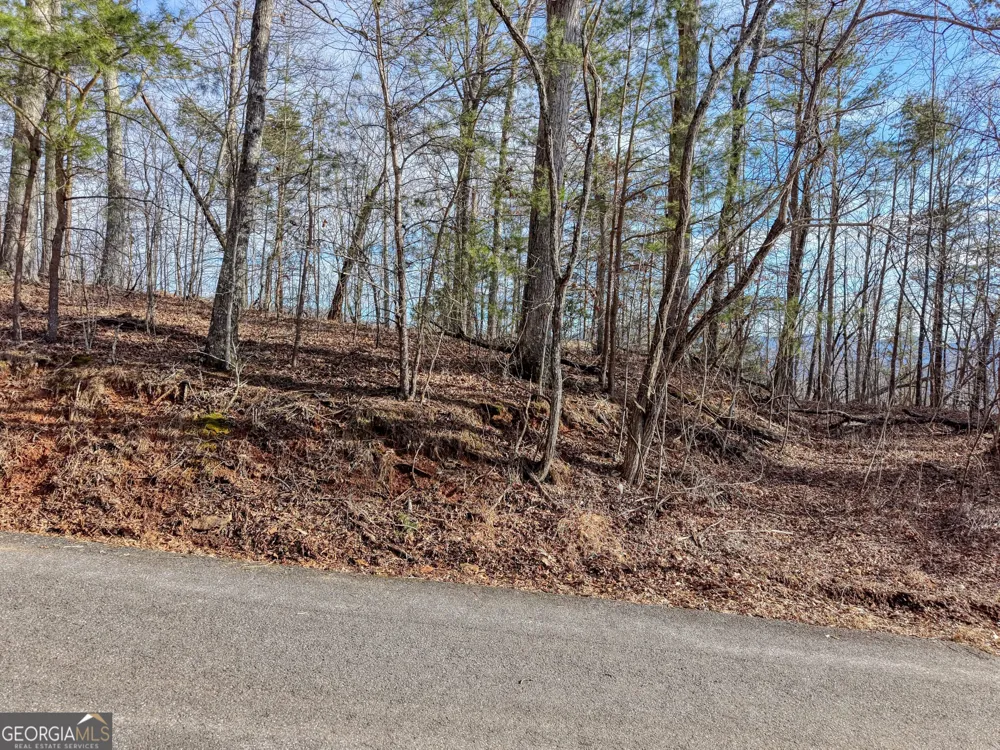 LOT 5 Harris Ridge Young Harris, GA 30582