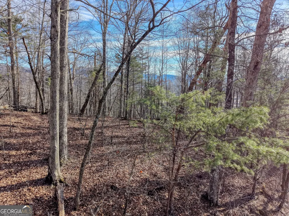 LOT 5 Harris Ridge Young Harris, GA 30582