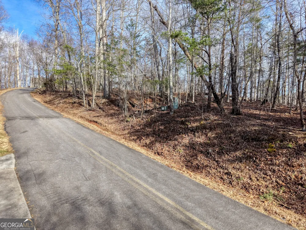 LOT 5 Harris Ridge Young Harris, GA 30582