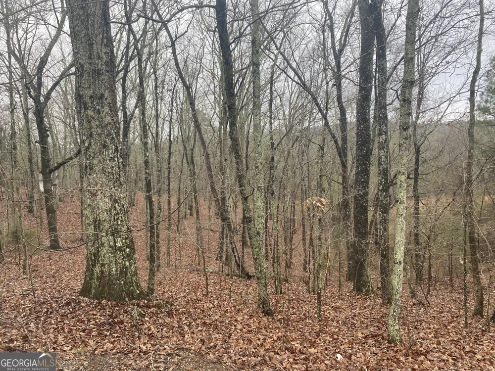 0 John Ingram RD Silver Creek, GA 30173
