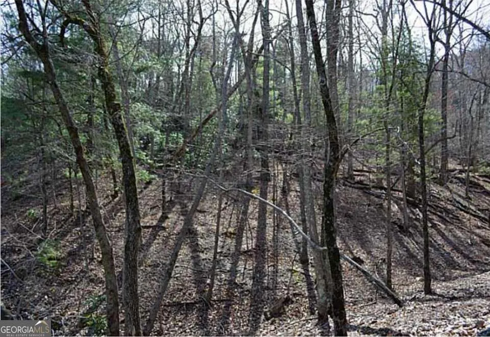 2569 Wilderness PKWY Jasper, GA 30143