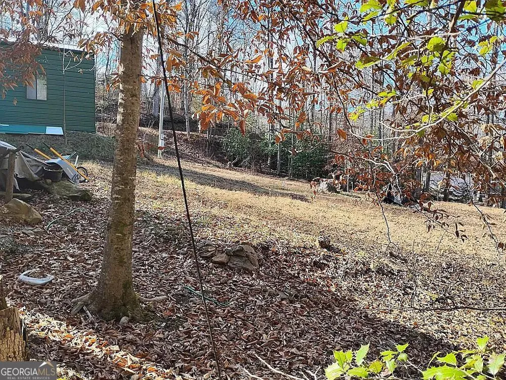 4720 Jones Gap RD Hiawassee, GA 30546