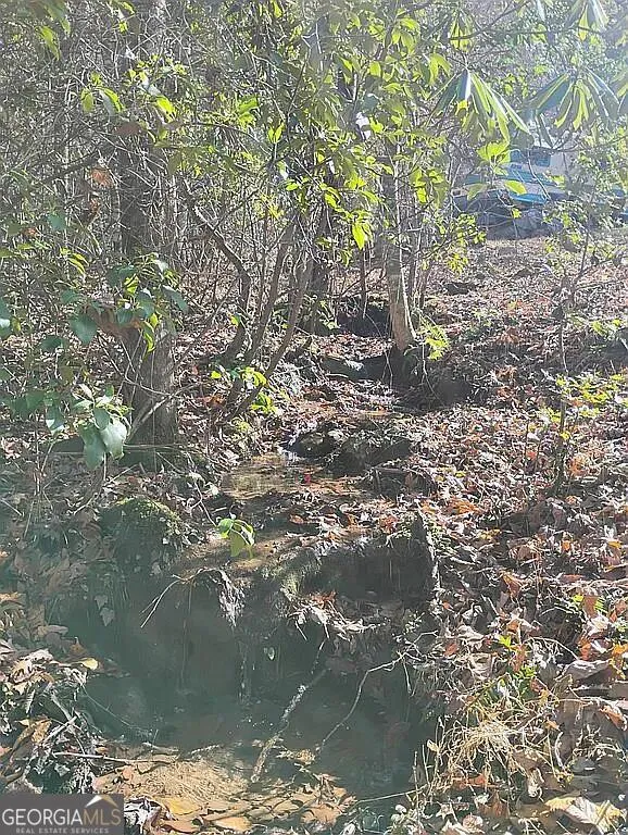 4720 Jones Gap RD Hiawassee, GA 30546