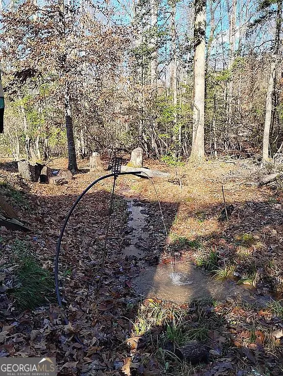 4720 Jones Gap RD Hiawassee, GA 30546