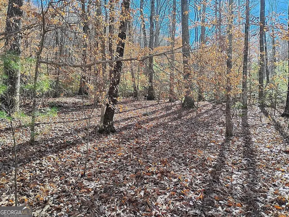 4720 Jones Gap RD Hiawassee, GA 30546