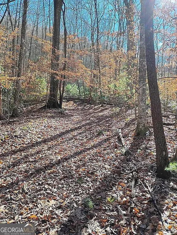 4720 Jones Gap RD Hiawassee, GA 30546