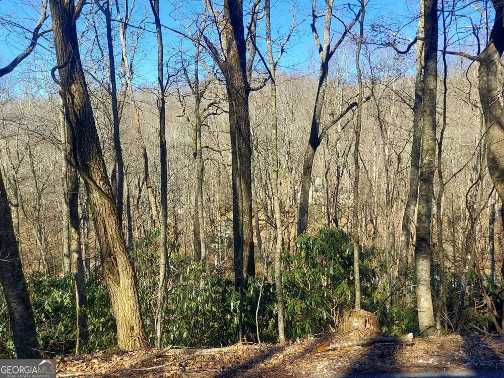0 LOT 41 Rebel Circle Sky Valley, GA 30537
