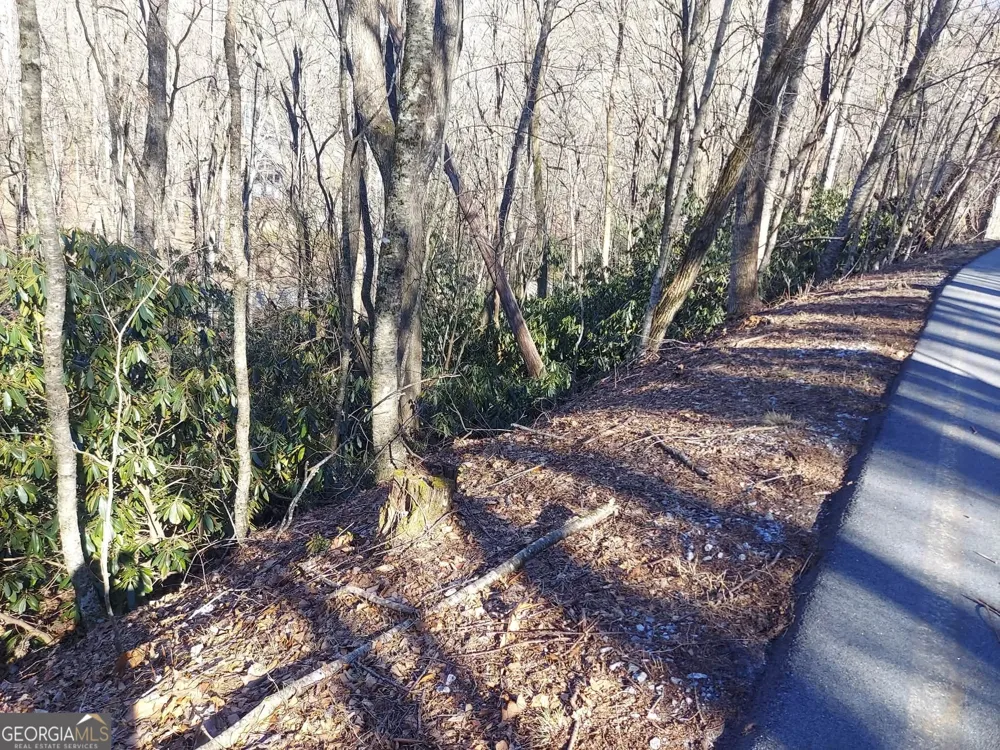 0 LOT 41 Rebel Circle Sky Valley, GA 30537