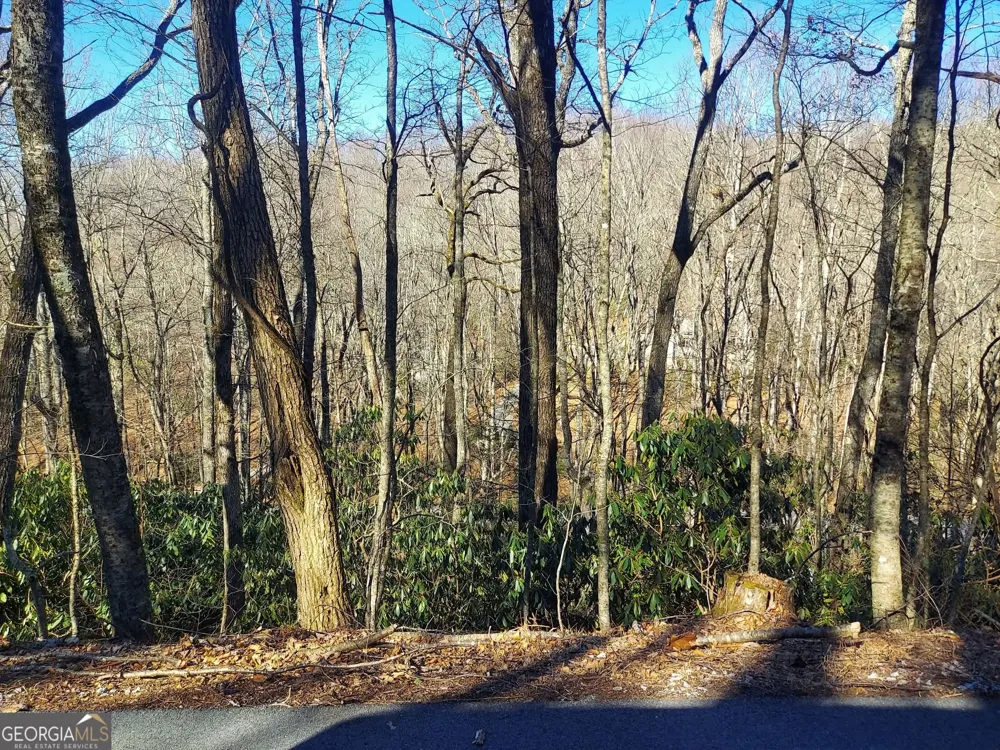0 LOT 41 Rebel Circle Sky Valley, GA 30537