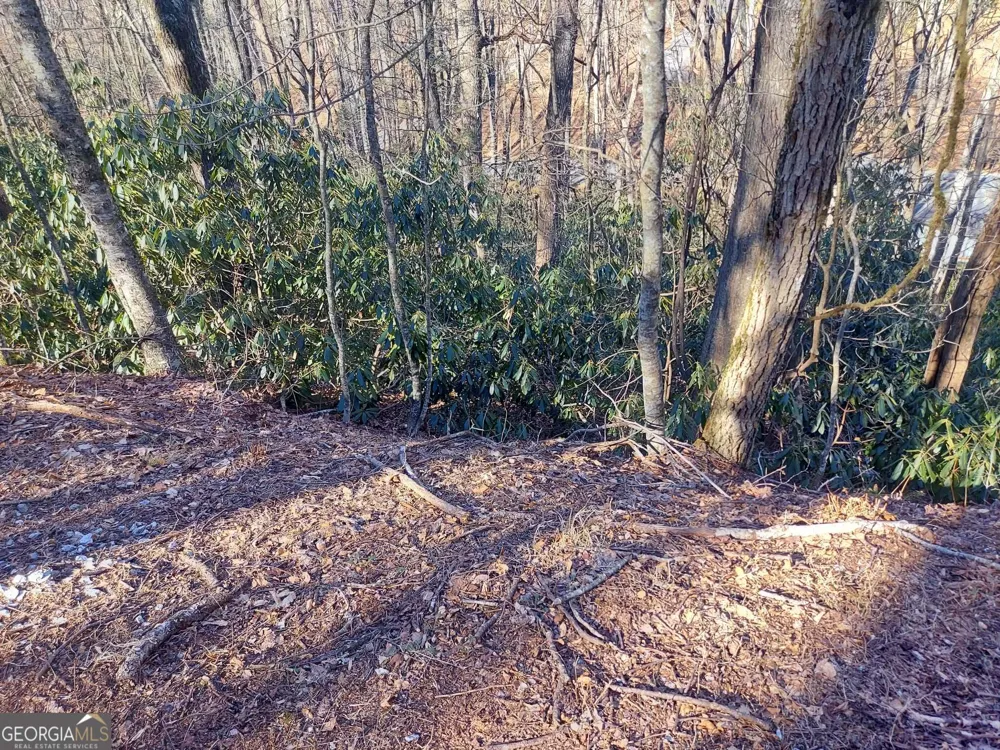 0 LOT 41 Rebel Circle Sky Valley, GA 30537