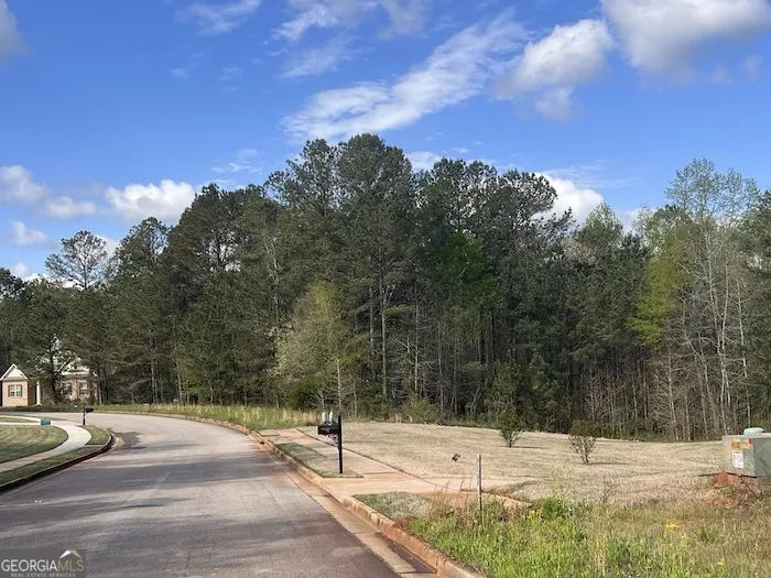 176 Belford WAY Jackson, GA 30233