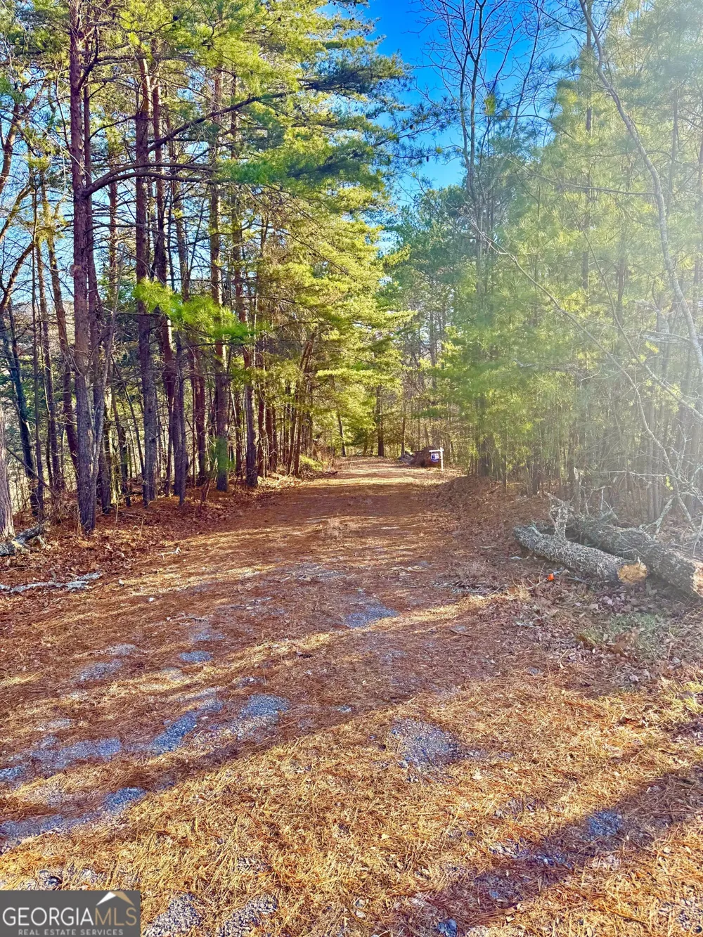 335 Packet CT Ranger, GA 30734