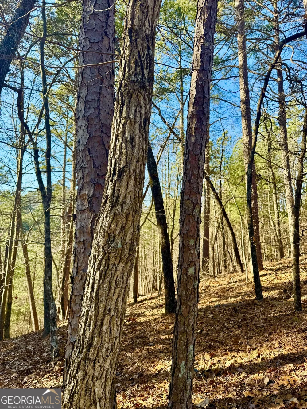 335 Packet CT Ranger, GA 30734