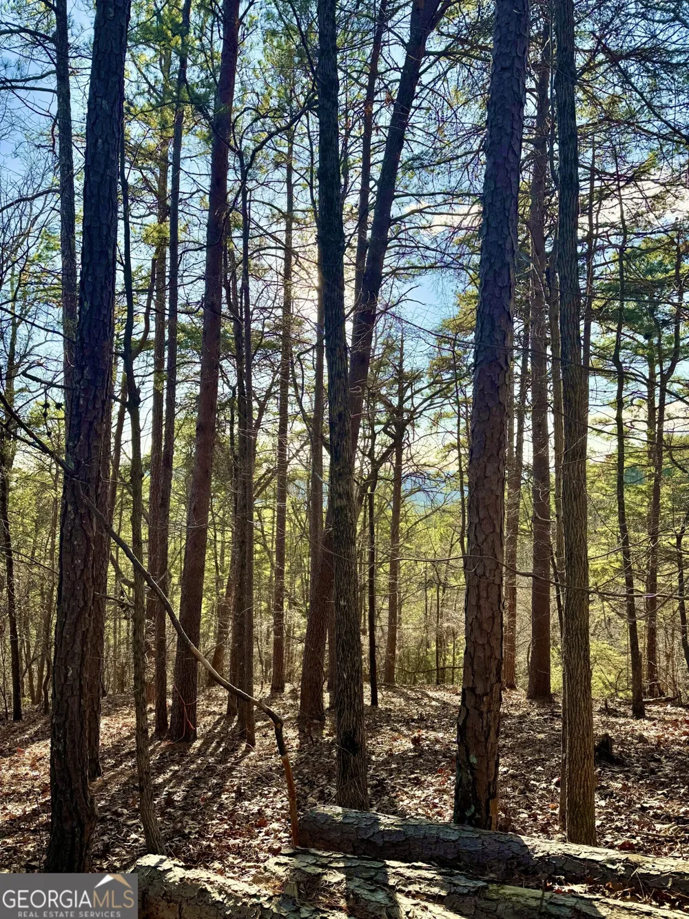 335 Packet CT Ranger, GA 30734