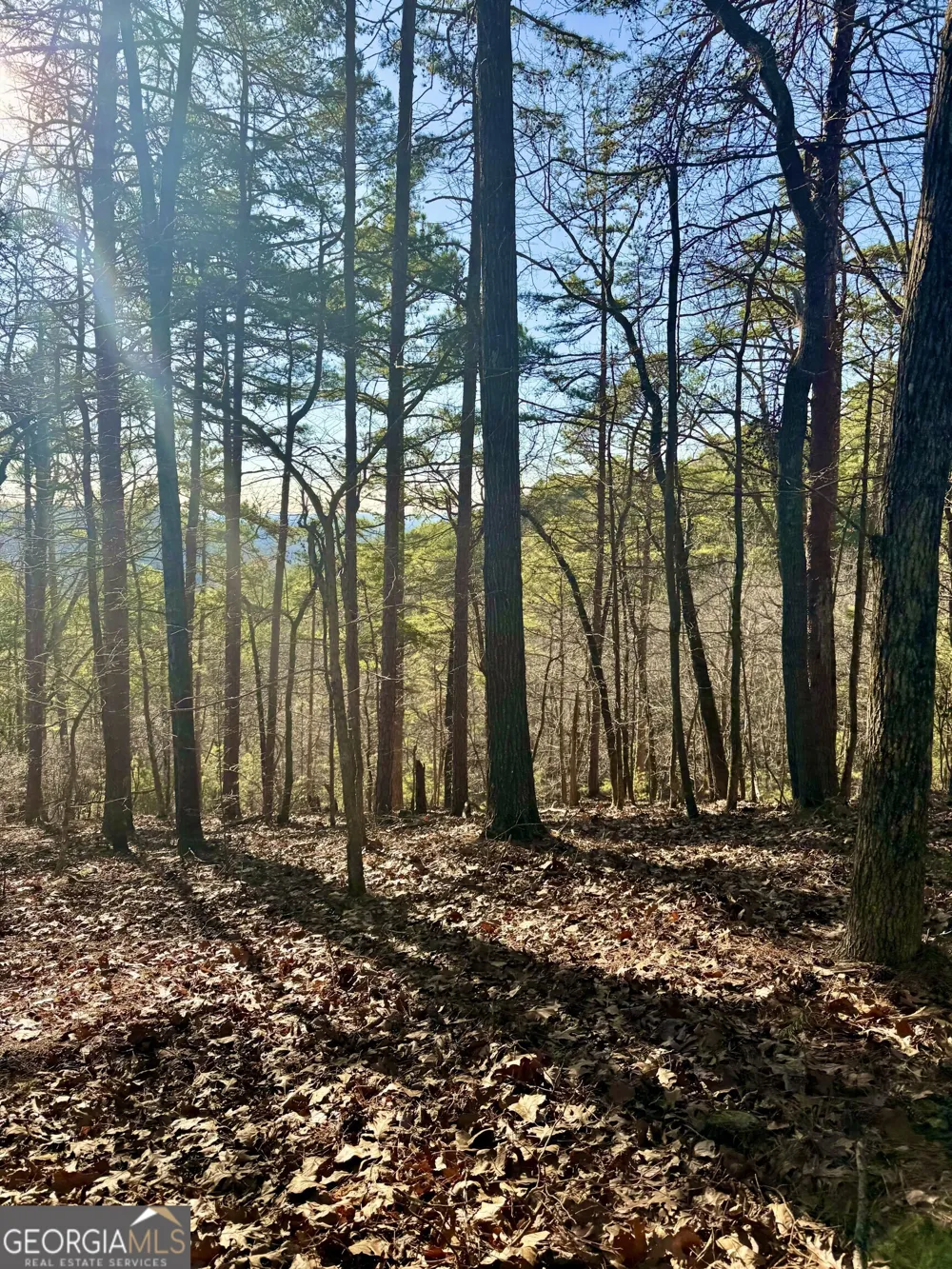 334 Packet CT Ranger, GA 30734