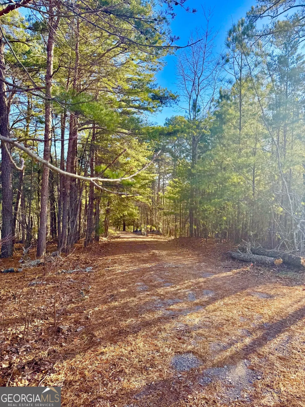 334 Packet CT Ranger, GA 30734
