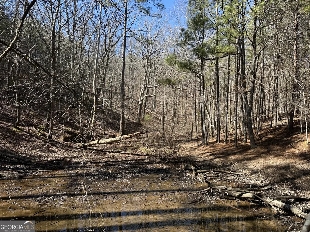 3472 Prior Station RD Cedartown, GA 30125