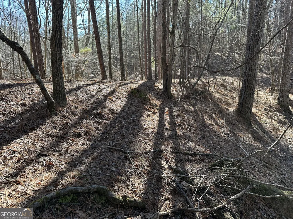3472 Prior Station RD Cedartown, GA 30125