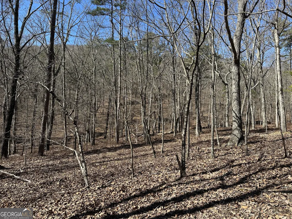 3472 Prior Station RD Cedartown, GA 30125