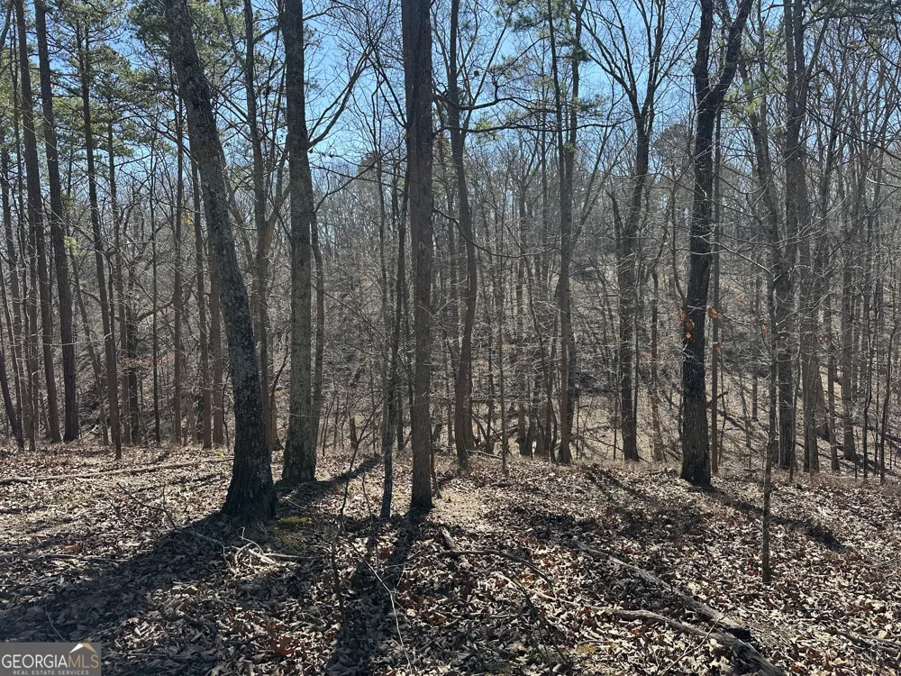 3472 Prior Station RD Cedartown, GA 30125