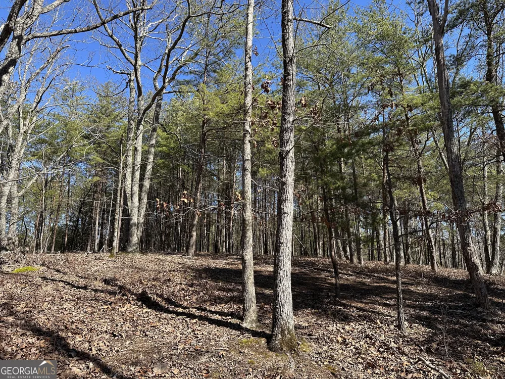 3472 Prior Station RD Cedartown, GA 30125