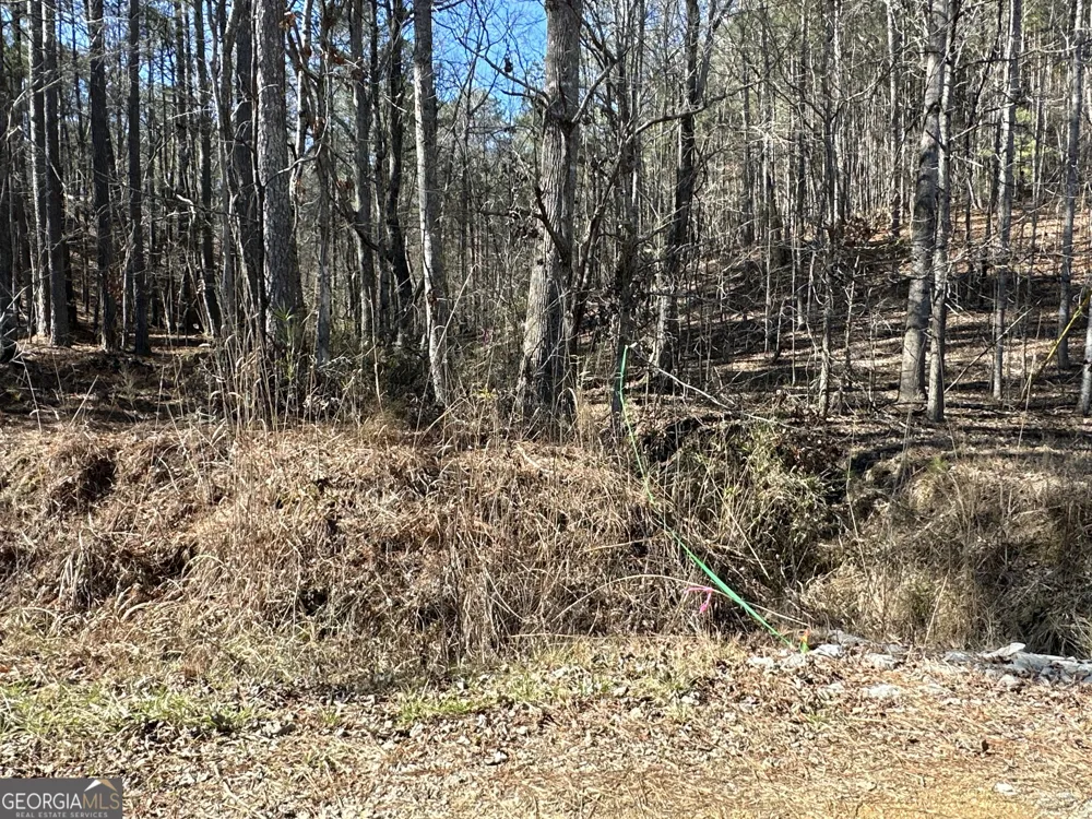 3472 Prior Station RD Cedartown, GA 30125