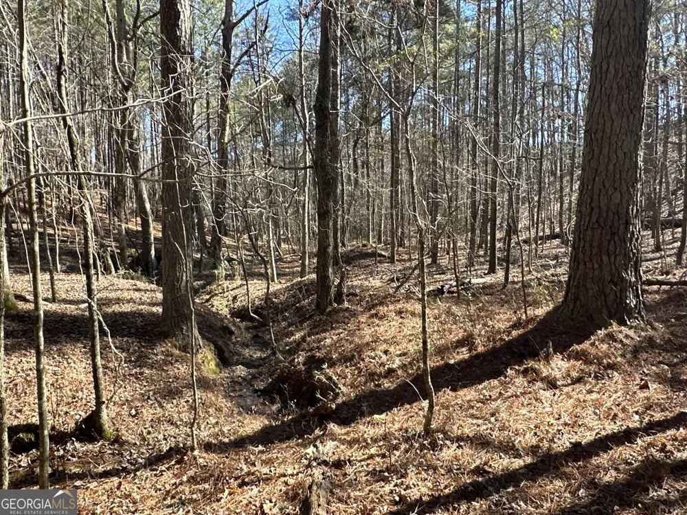 3472 Prior Station RD Cedartown, GA 30125
