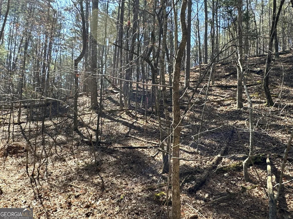 3472 Prior Station RD Cedartown, GA 30125