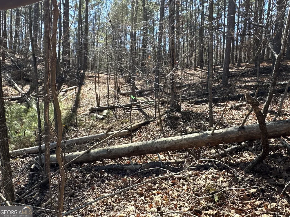 3472 Prior Station RD Cedartown, GA 30125