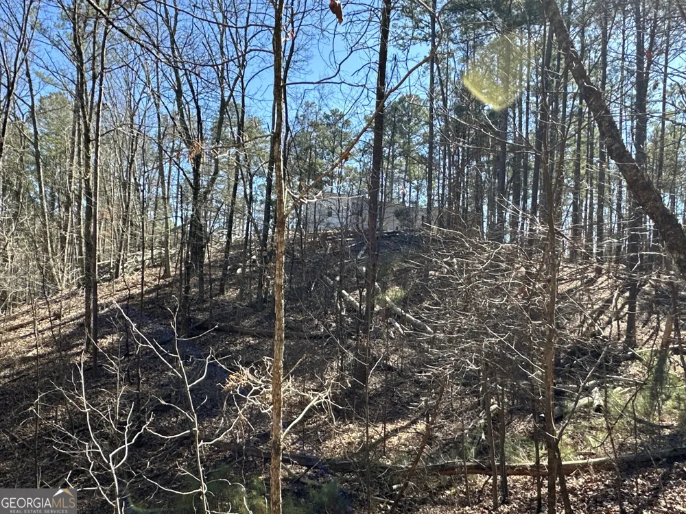 3472 Prior Station RD Cedartown, GA 30125