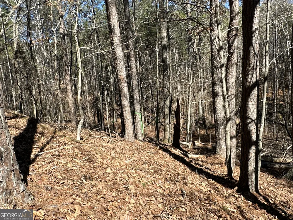 3472 Prior Station RD Cedartown, GA 30125