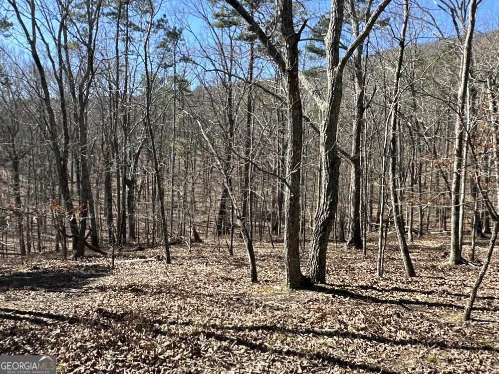 3472 Prior Station RD Cedartown, GA 30125