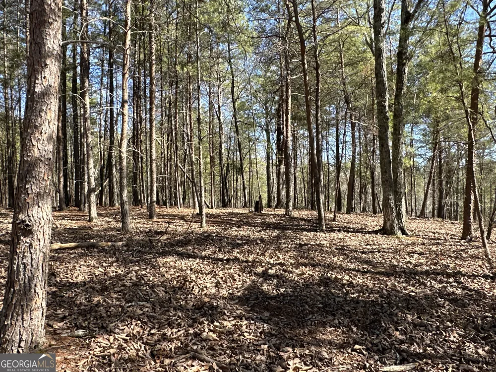 3472 Prior Station RD Cedartown, GA 30125