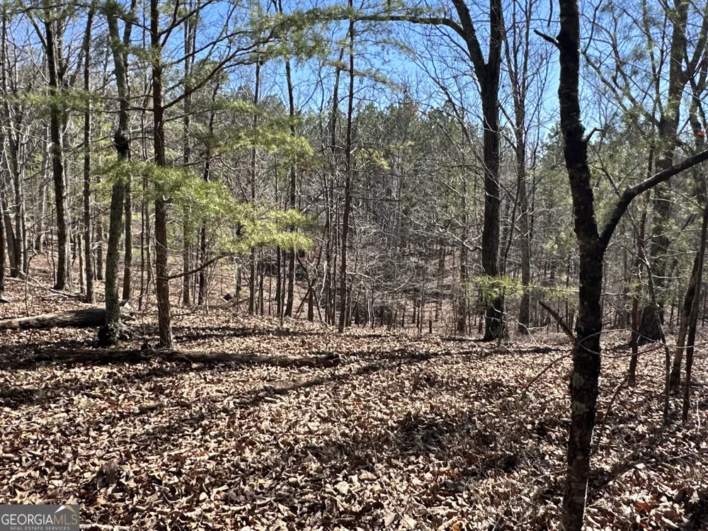 3472 Prior Station RD Cedartown, GA 30125